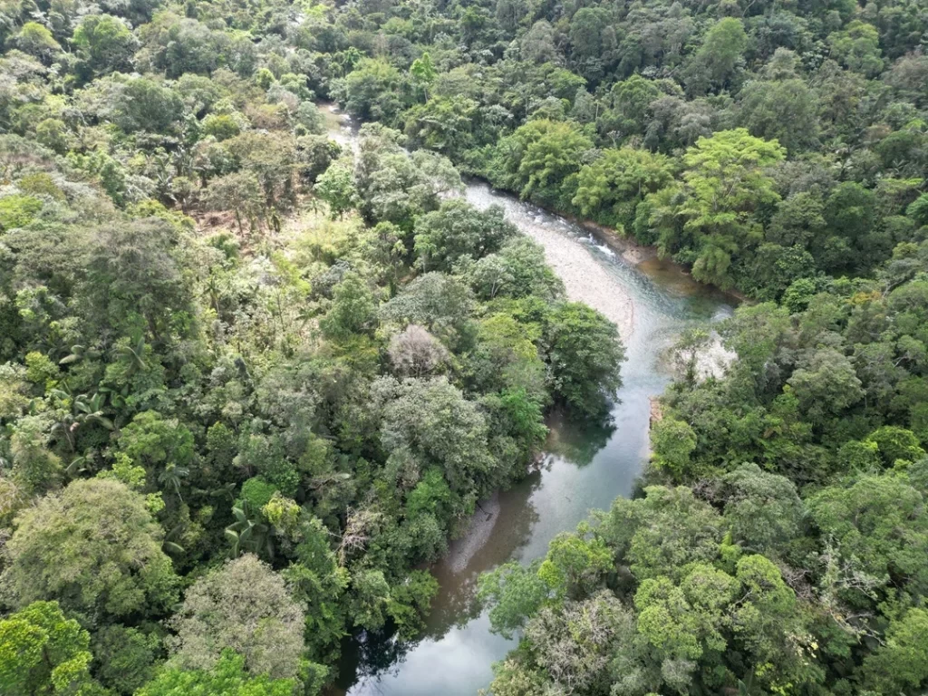 Reserva Natural San Cipriano El Oasis de Charcos Mágicos