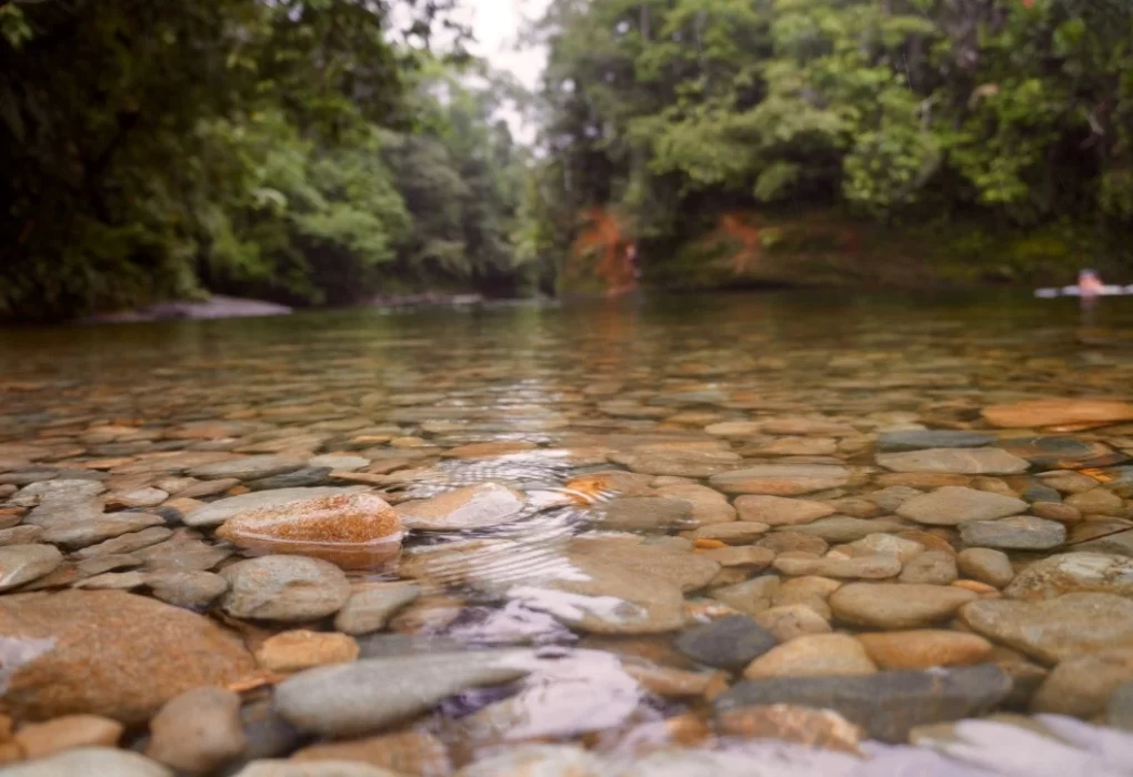 sancipriano Conoce el pacifico