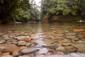 sancipriano Conoce el pacifico